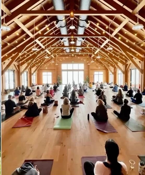 Yoga class in a timber-framed barn